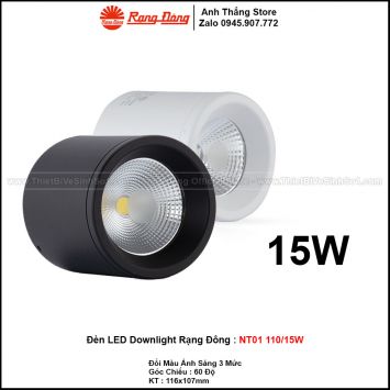 Đèn LED Downlight Trang Trí Rạng Đông NT01 110/15W