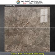 Gạch 1,2m x 1,2m Ấn Độ Aspedra Grey