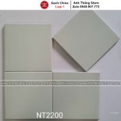 Gạch Bông Men 20x20cm NT2200