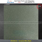 Gạch 40x40 Thanh Thanh CTS4405