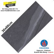 Gạch 30x60 Viglacera CBP3601