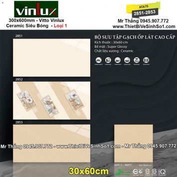 Gạch 30x60 Vitto Vinlux 2851-2853
