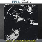 Gạch Eurotile 1,2m x 1,2m CHG S01H
