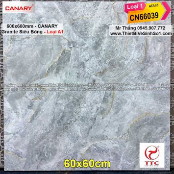Gạch 60x60 Canary CN66039
