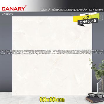 Gạch 60x60 TTC Canary CN66010