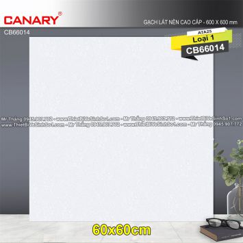 Gạch 60x60 TTC Canary CB66014