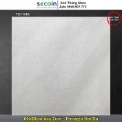 Gạch 60x60 Terrazzo Hạt Đá Secoin TS1-04S