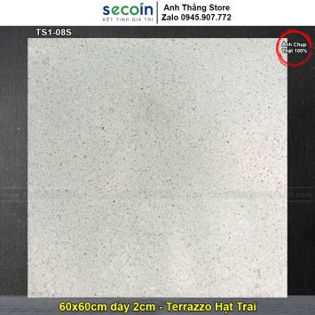 Gạch 60x60 Terrazzo Hạt Trai Secoin TS1-08S