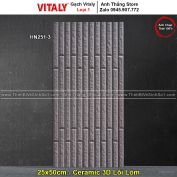 Gạch 25x50 Vitaly HN251-3
