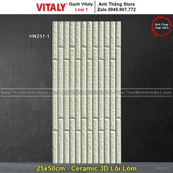 Gạch 25x50 Vitaly HN251-1