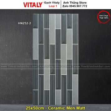 Gạch 25x50 Vitaly HN252-2