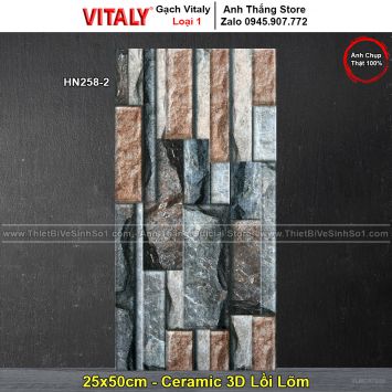 Gạch 25x50 Vitaly HN258-2