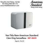 Van Tiểu Nam American Standard WF-8609.DC