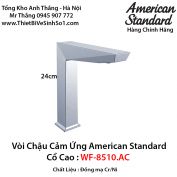 Vòi Cảm Ứng American Standard WF-8510.AC