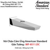 Vòi Cảm Ứng American Standard WF-8511.DC