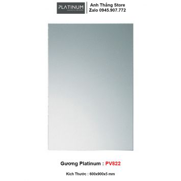 Gương 60x90 Platinum PV822