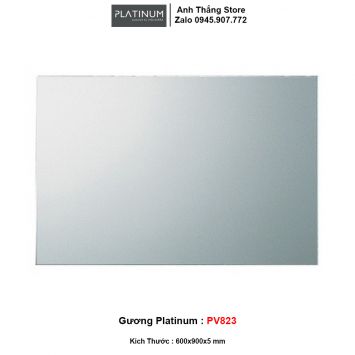 Gương 60x90 Platinum PV823