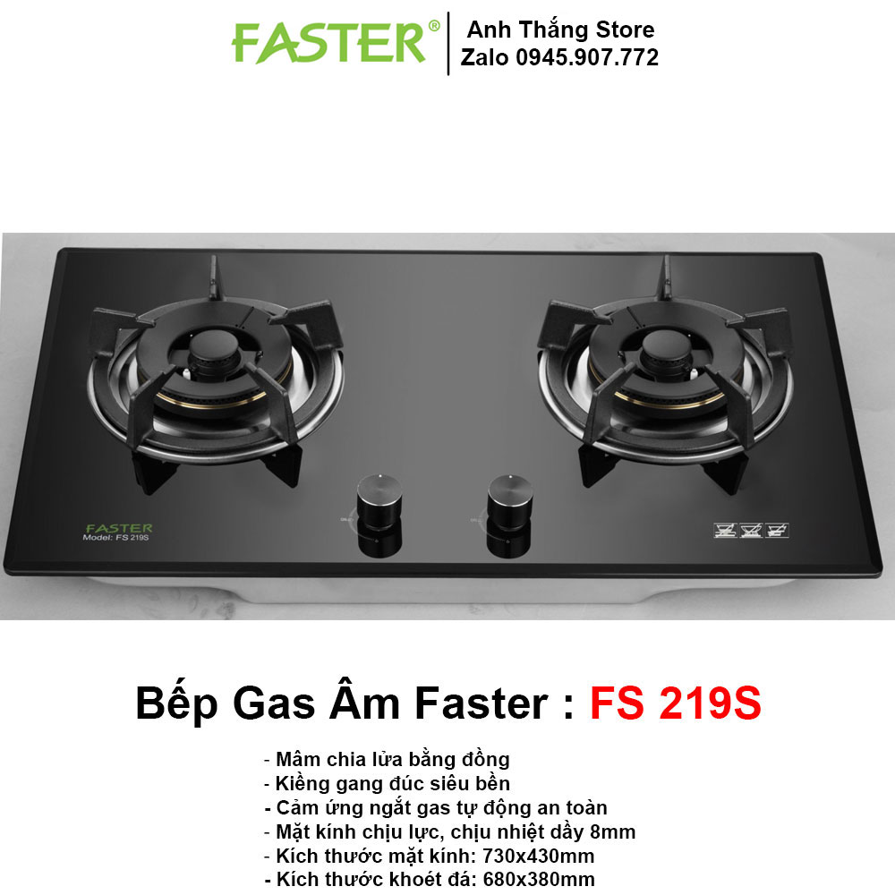 Bếp Gas Faster FS 219S