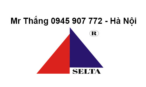 Logo-Selta