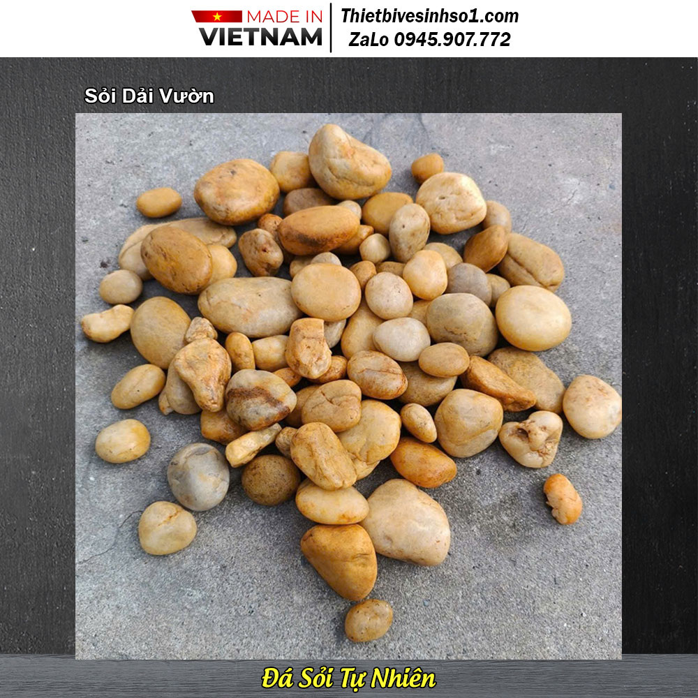 Sỏi Dải Vườn
