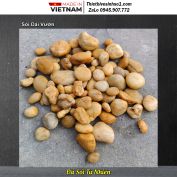 Sỏi Dải Vườn
