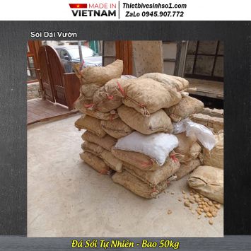 Sỏi Dải Vườn 1