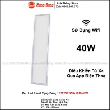 Đèn LED Panel Rạng Đông P02.WF 300x1200/40W