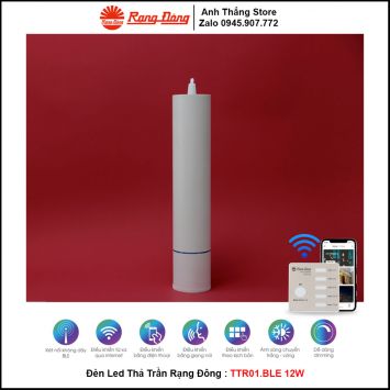 Đèn LED Thả Trần Rạng Đông TTR01.BLE 12W