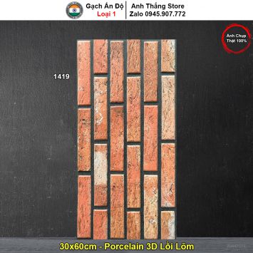 Gạch Ốp Trang Trí 30x60 Ấn Độ 1419