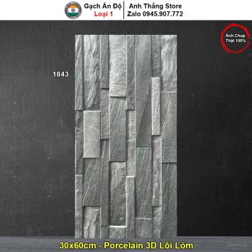 Gạch Ốp Trang Trí 30x60 Ấn Độ 1843