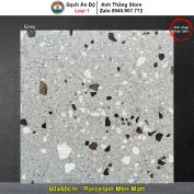 Gạch 60x60 Ấn Độ Grey Terrazzo