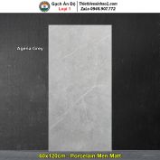 Gạch 60x120 Ấn Độ Agena Grey Vân Đá Xám