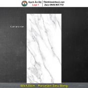 Gạch 60x120 Ấn Độ Carrara ice Trắng Khói