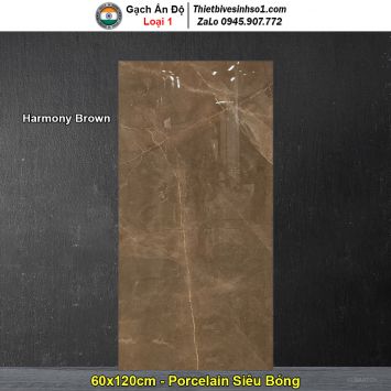 Gạch 60x120 Ấn Độ Harmony Brown Vân Đá Nâu