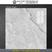 Gạch 80x80 Ấn Độ William Grigio Vân Ghi Xám