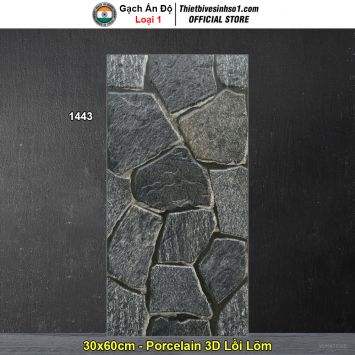 Gạch Ốp Trang Trí 30x60 Ấn Độ 1443