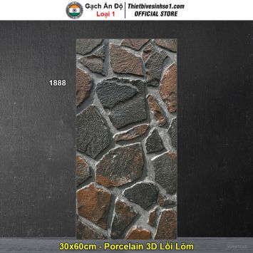 Gạch Ốp Trang Trí 30x60 Ấn Độ 1888