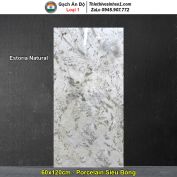 Gạch 60x120 Ấn Độ Estoria Natural