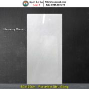 Gạch 60x120 Ấn Độ Harmony Bianco