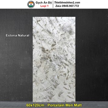 Gạch 60x120 Ấn Độ Estoria Natural