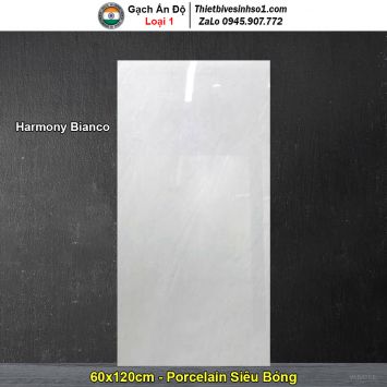Gạch 60x120 Ấn Độ Harmony Bianco