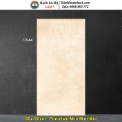 Gạch 60x120 Ấn Độ 12044