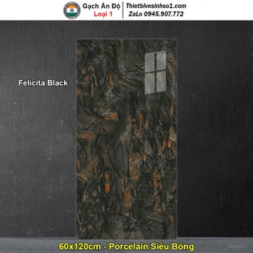 Gạch 60x120 Ấn Độ Felicita Black