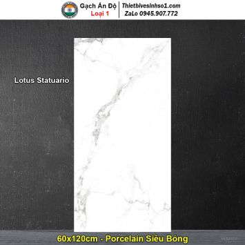 Gạch 60x120 Ấn Độ Lotus Statuario