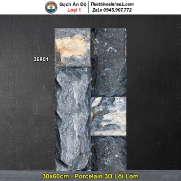 Gạch Ốp Trang Trí 30x60 Ấn Độ 36801