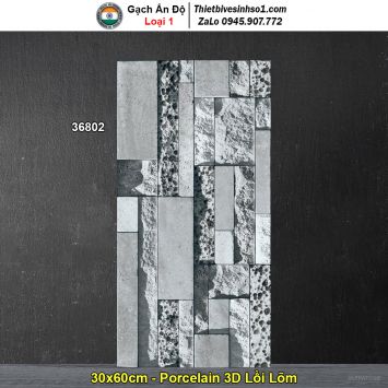 Gạch Ốp Trang Trí 30x60 Ấn Độ 36802