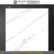 Gạch 1,2m x 1,2m Ấn Độ SSG