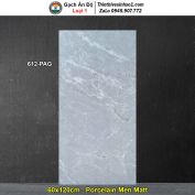 Gạch 60x120 Ấn Độ 612-PAG
