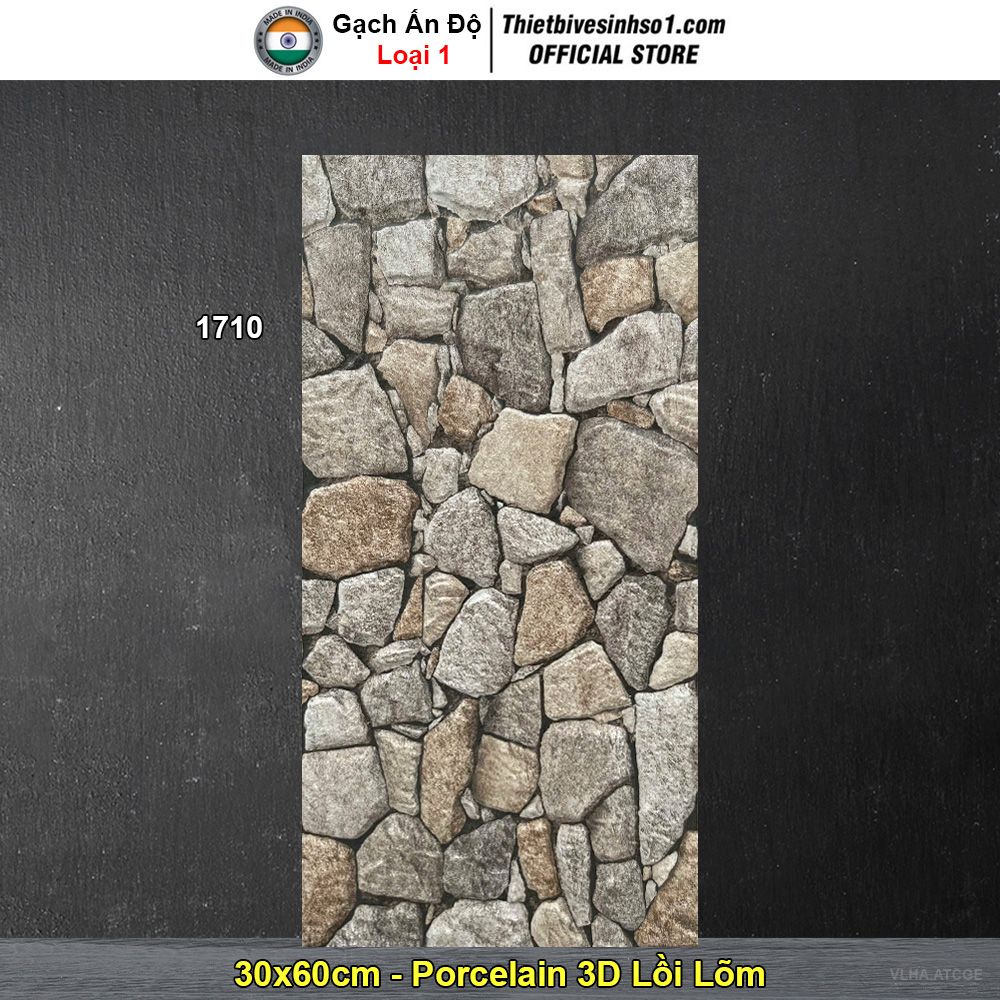 Gạch Ốp Trang Trí 30x60 Ấn Độ 1710