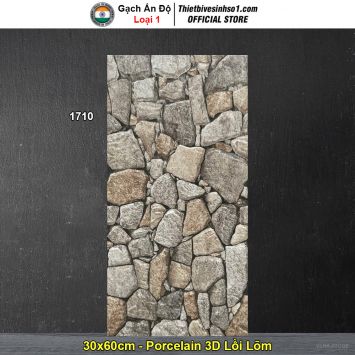 Gạch Ốp Trang Trí 30x60 Ấn Độ 1710
